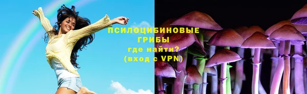 марки nbome Богданович