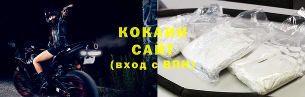 мдпв Богородск