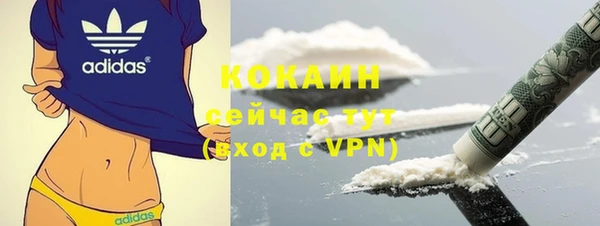 мдпв Богородск