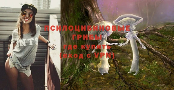 мдпв Богородск