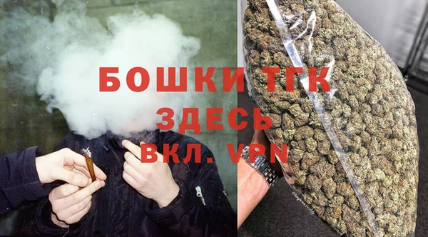 мдпв Богородск
