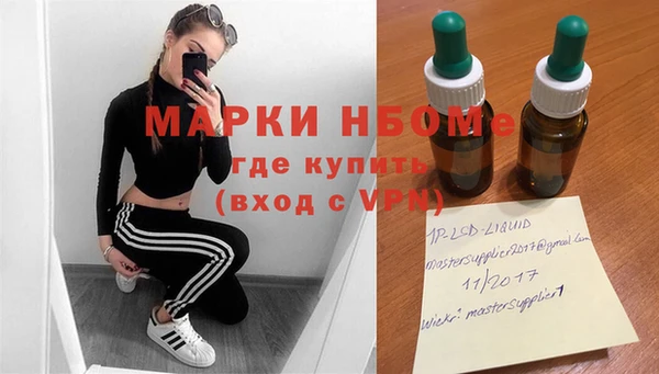 мдпв Богородск