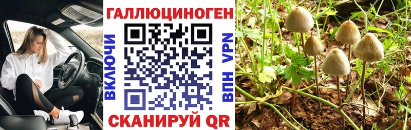 Галлюциногенные грибы Magic Shrooms Ейск